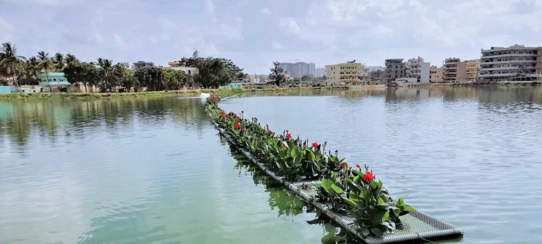Hebbagodi Lake has India's largest floating island. It has made it to the Limca Book of Records for having a 12,000 sq feet island that criss-crosses the waterbody and has strips of vegetation which grow hydroponically